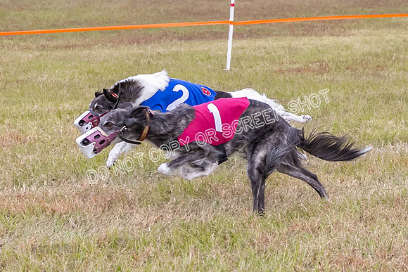 Group A, Prg 3, SW, Race 5-5950