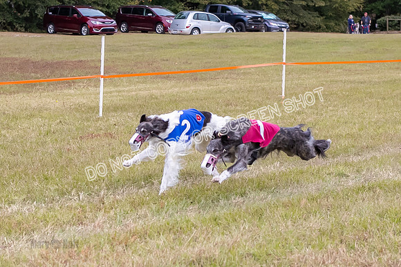 Group A, Prg 3, SW, Race 5-5947