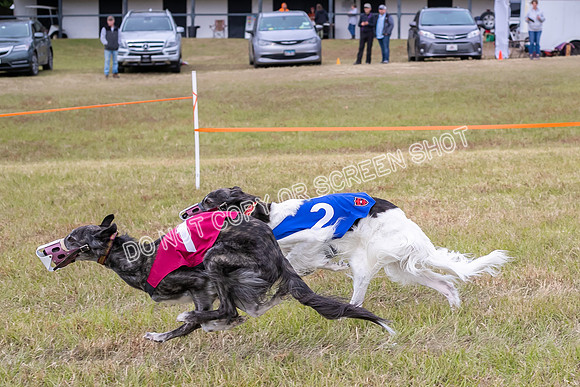 Group A, Prg 3, SW, Race 5-5953