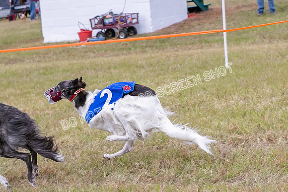 Group A, Prg 3, SW, Race 5-5956