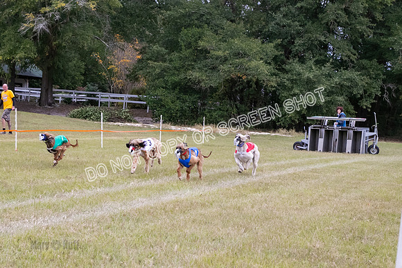 Group B, Prg 3, A, Race 10-6383
