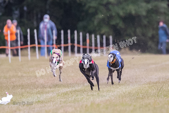Group B, Prg 1, G, Race 9-5543