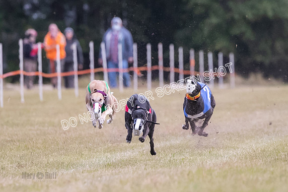 Group B, Prg 1, G, Race 9-5544
