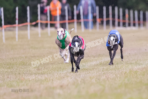 Group B, Prg 1, G, Race 9-5547