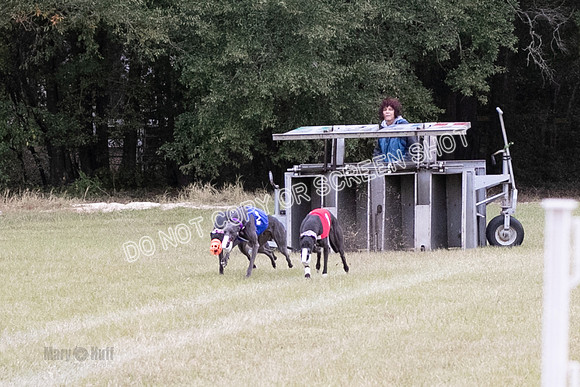 Group B, Prg 3, G, Race 5-6214