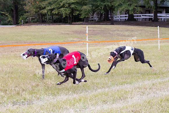 Group B, Prg 3, G, Race 5-6228