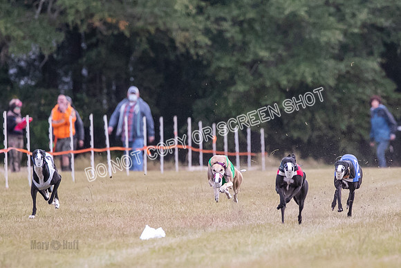 Group B, Prg 1, G, Race 9-5535