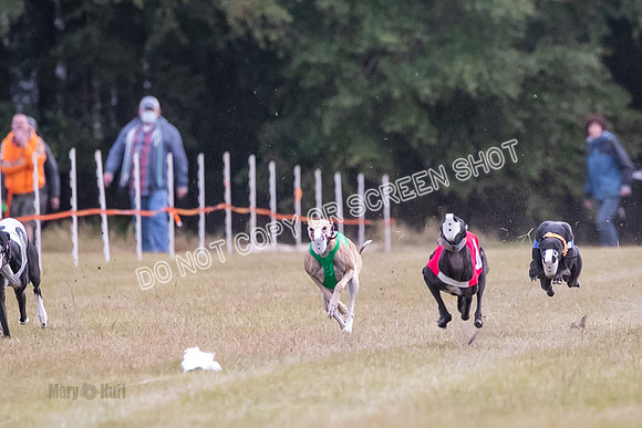 Group B, Prg 1, G, Race 9-5534