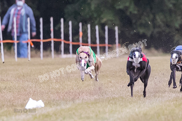 Group B, Prg 1, G, Race 9-5535-2