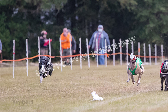 Group B, Prg 1, G, Race 9-5537