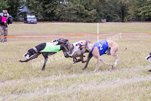 Group B, Prg 3, G, Race 9-6364