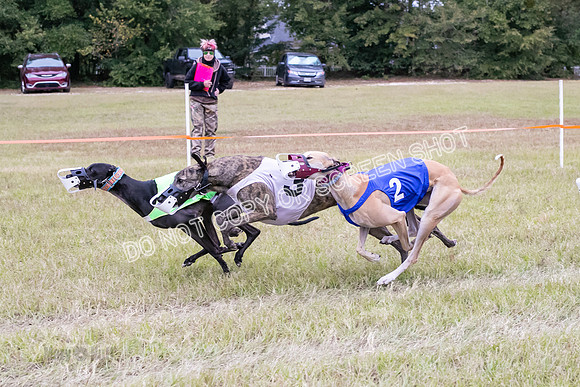 Group B, Prg 3, G, Race 9-6365