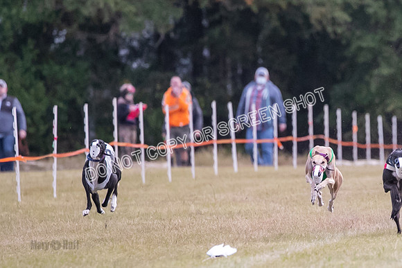 Group B, Prg 1, G, Race 9-5539