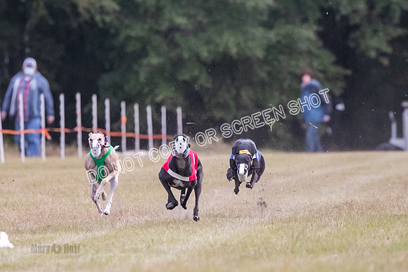 Group B, Prg 1, G, Race 9-5538