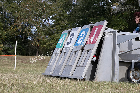Group B, Prg 2, G, Race 9-5831
