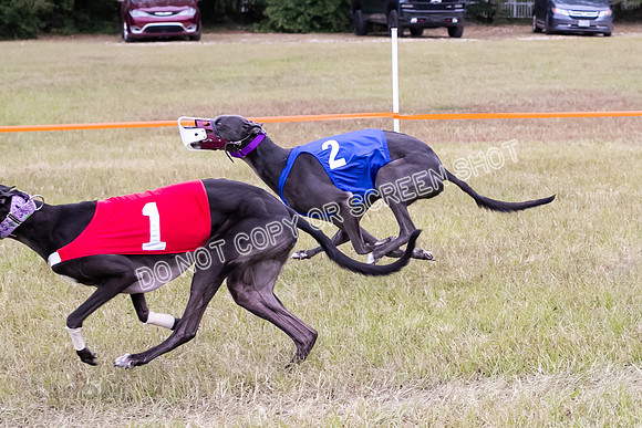 Group B, Prg 3, G, Race 5-6232
