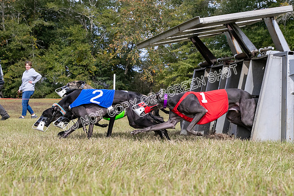 Group B, Prg 2, G, Race 9-5833