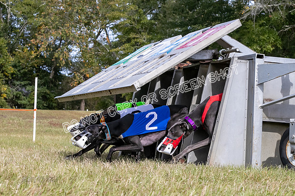 Group B, Prg 2, G, Race 9-5832