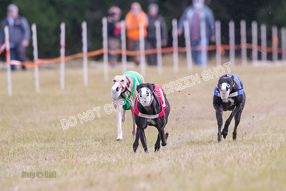 Group B, Prg 1, G, Race 9-5549