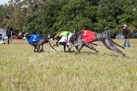 Group B, Prg 2, G, Race 9-5836