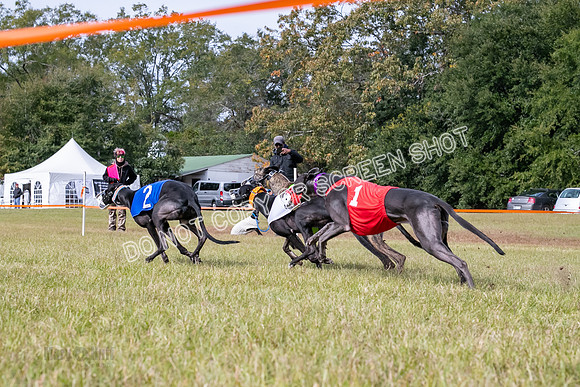 Group B, Prg 2, G, Race 9-5837