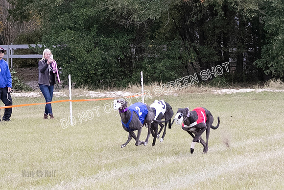 Group B, Prg 3, G, Race 5-6222