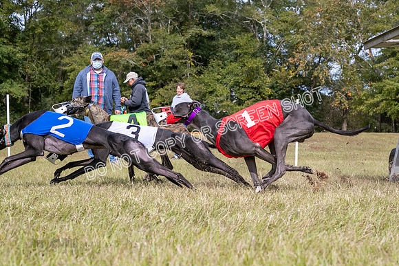 Group B, Prg 2, G, Race 9-5834