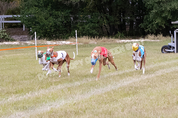 Group B, Prg 3, IB, Race 8-6325