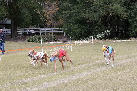 Group B, Prg 3, IB, Race 8-6330