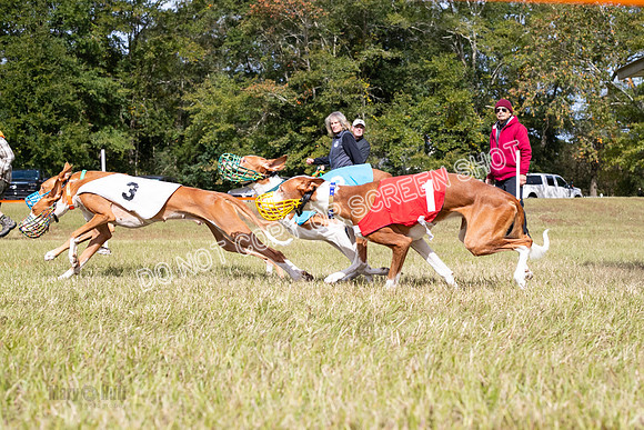 Group B, Prg 2, IB, Race 8-5825