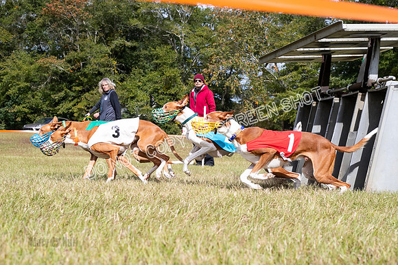 Group B, Prg 2, IB, Race 8-5824