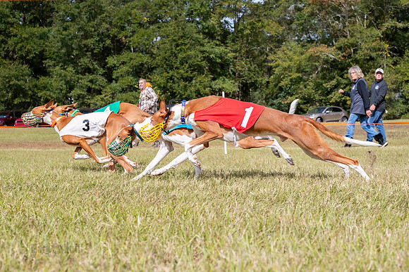 Group B, Prg 2, IB, Race 8-5826