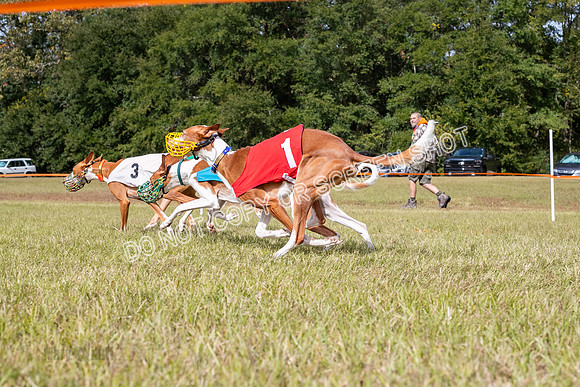 Group B, Prg 2, IB, Race 8-5827