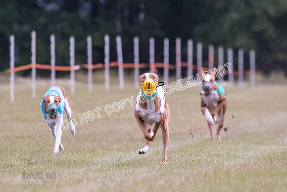 Group B, Prg 1, IB, Race 8-5502