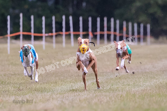 Group B, Prg 1, IB, Race 8-5503
