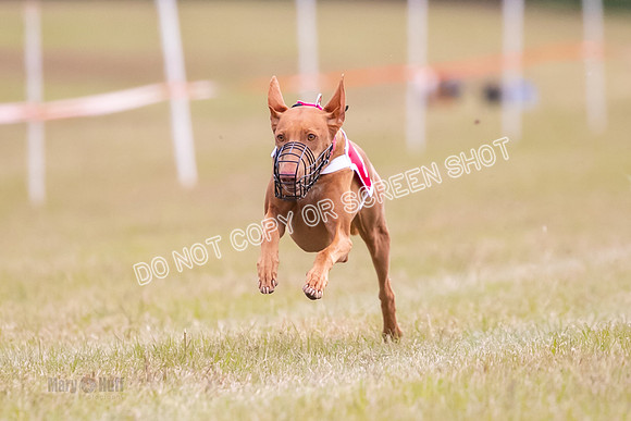 Group B, Prg 1, Ph, Race 11-5630
