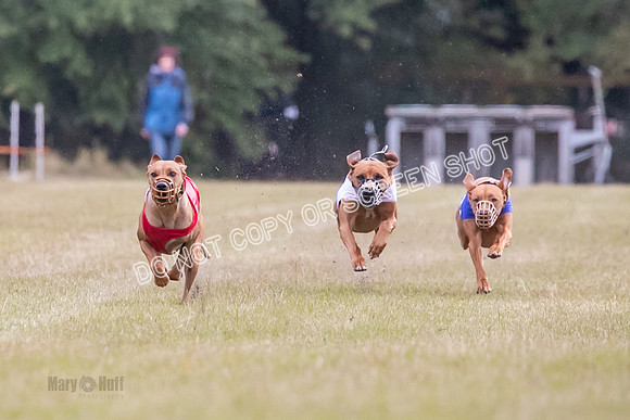 Group B, Prg 1, RR, Race 6-5438