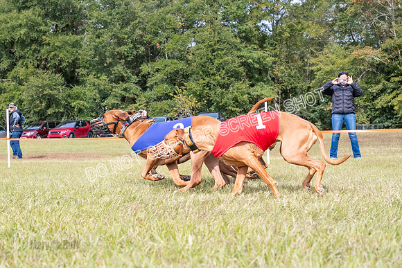 Group B, Prg 2, RR, Race 6-5810