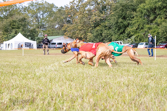 Group B, Prg 2, RR, Race 6-5812
