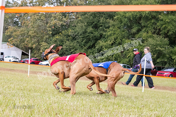 Group B, Prg 2, RR, Race 3-5788
