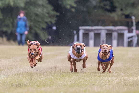 Group B, Prg 1, RR, Race 6-5435