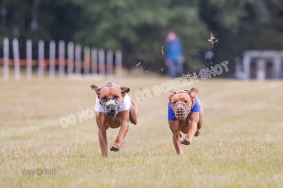 Group B, Prg 1, RR, Race 6-5446