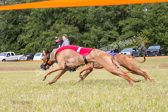 Group B, Prg 2, RR, Race 3-5787