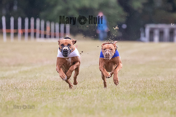 Group B, Prg 1, RR, Race 6-