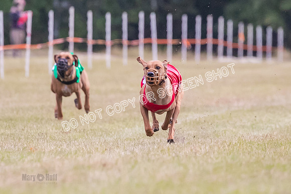 Group B, Prg 1, RR, Race 6-5442