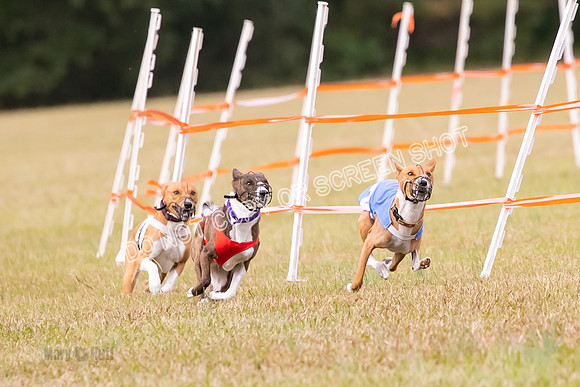 Group A, Prg 2, BA, Race 6-7348
