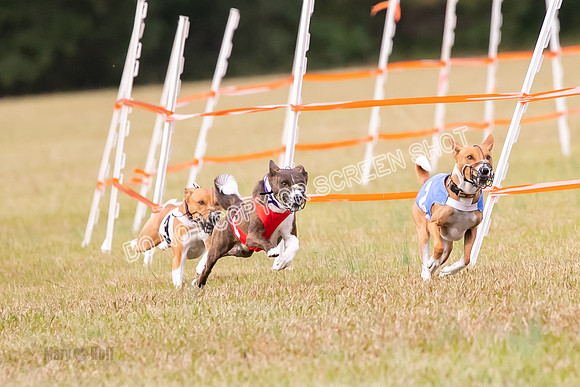 Group A, Prg 2, BA, Race 6-7349