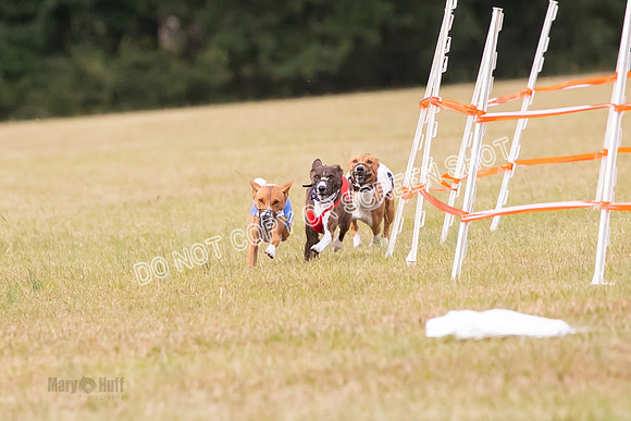 Group A, Prg 2, BA, Race 6-7339