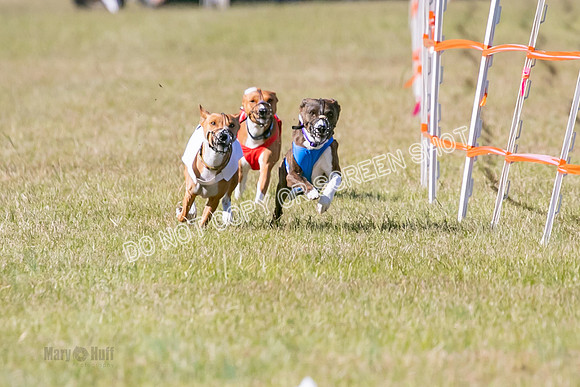 Group A, Prg 3, BA, Race 6-7986
