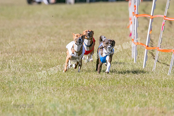 Group A, Prg 3, BA, Race 6-7987